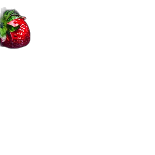 food, hat, umbrella, tree transparent PNG cut-out