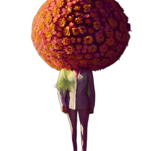 umbrella, flower, staff, food transparent PNG cut-out