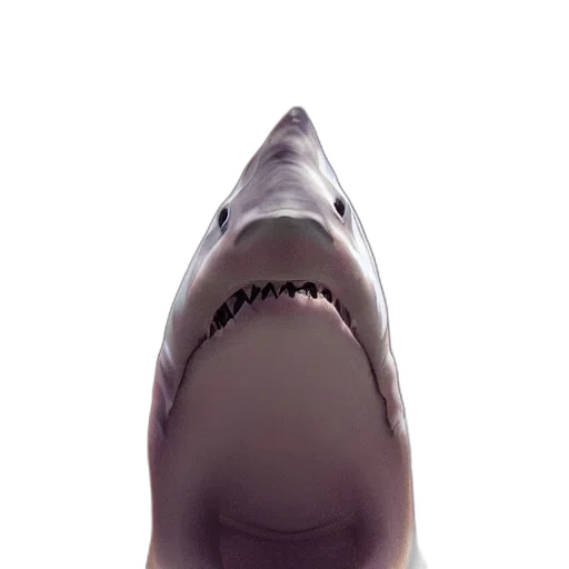 animal, creature, staff, face transparent PNG cut-out