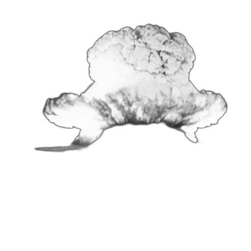 crown, hair, hat, tree transparent PNG cut-out