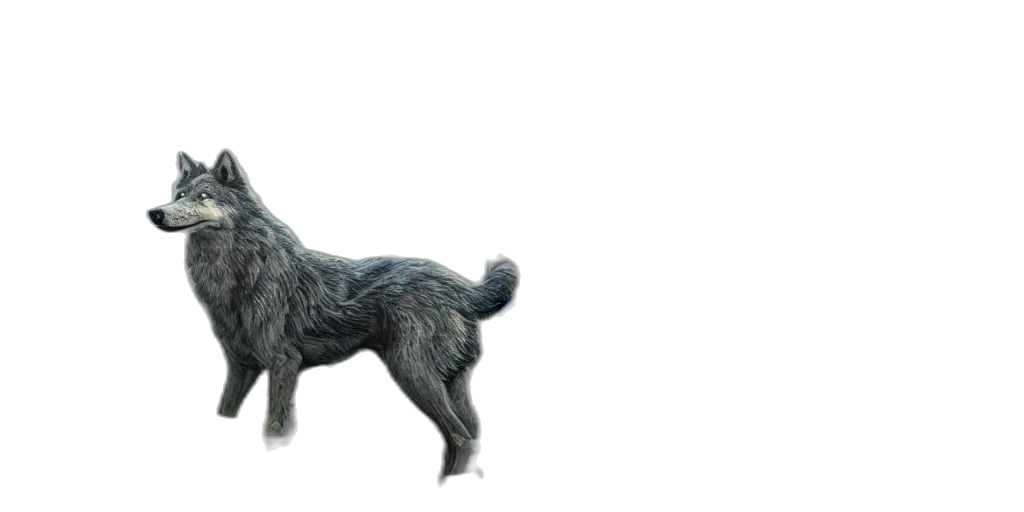 animal, creature, hair, staff transparent PNG cut-out