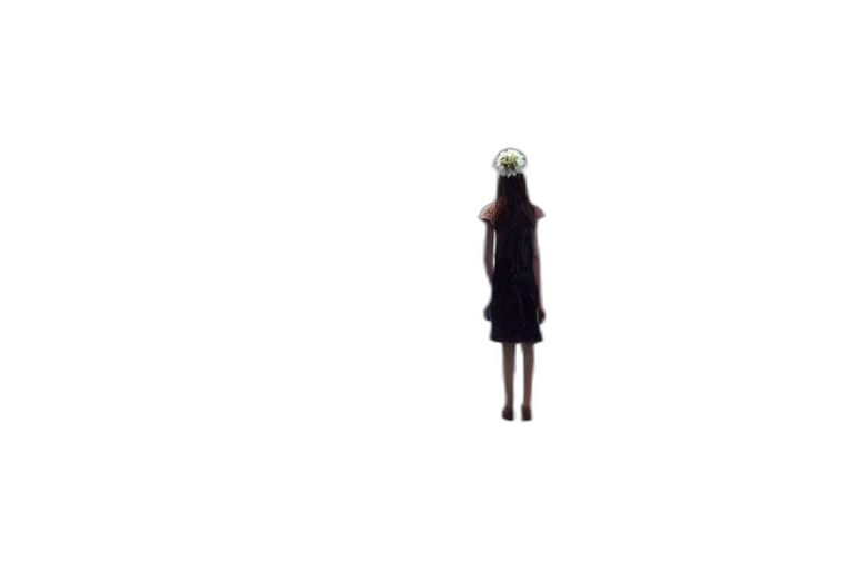 dress, hat, robot, staff transparent PNG cut-out