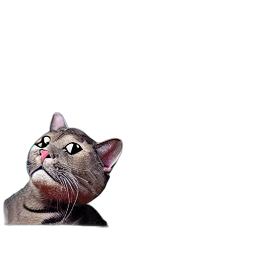 animal, staff, face, creature transparent PNG cut-out