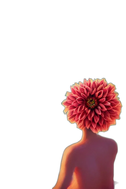 flower, crown, hair, jewelry transparent PNG cut-out