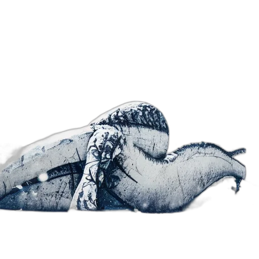 animal, dragon, creature, shoes transparent PNG cut-out