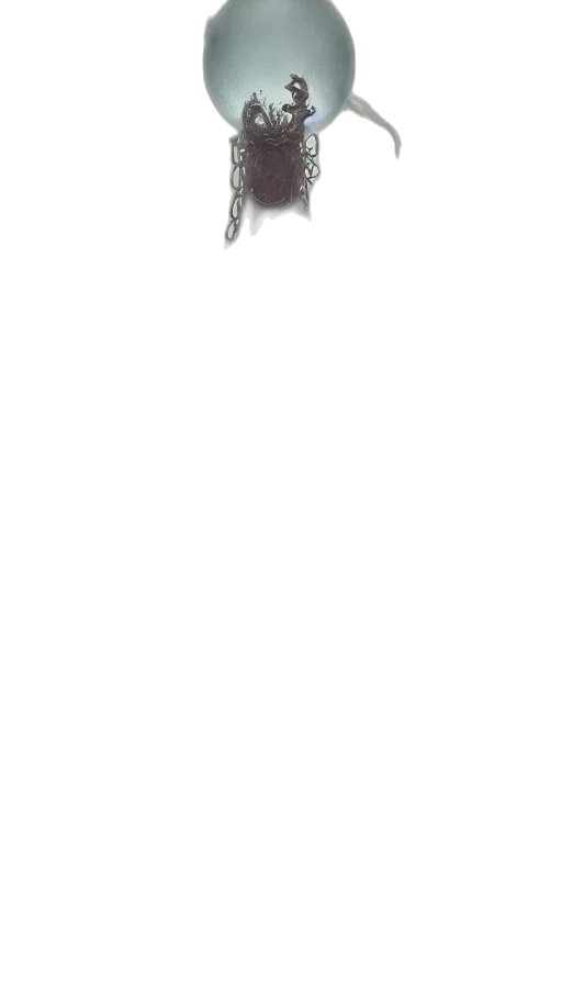 dragon, staff, face, mask transparent PNG cut-out