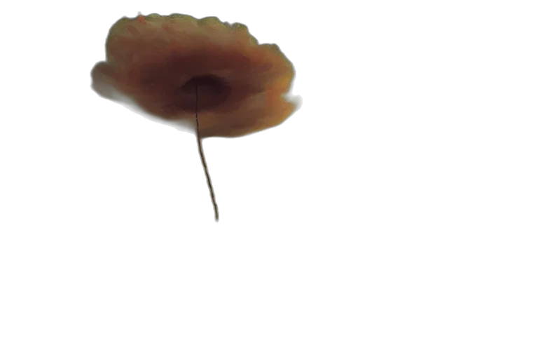 flower, crown, hair, food transparent PNG cut-out