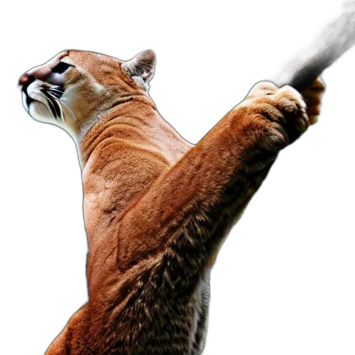 animal, staff, creature, weapon transparent PNG cut-out