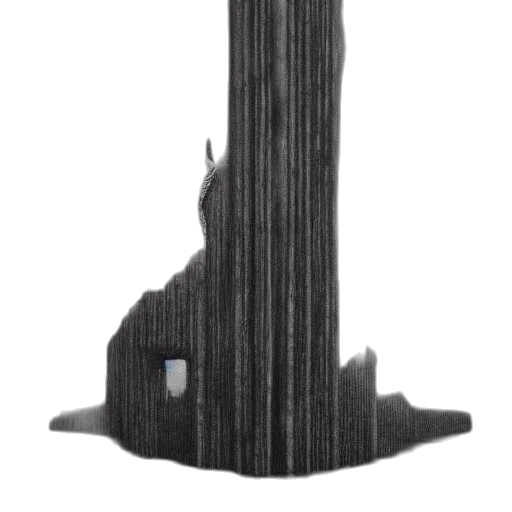 crown, furniture, hair, sword transparent PNG cut-out