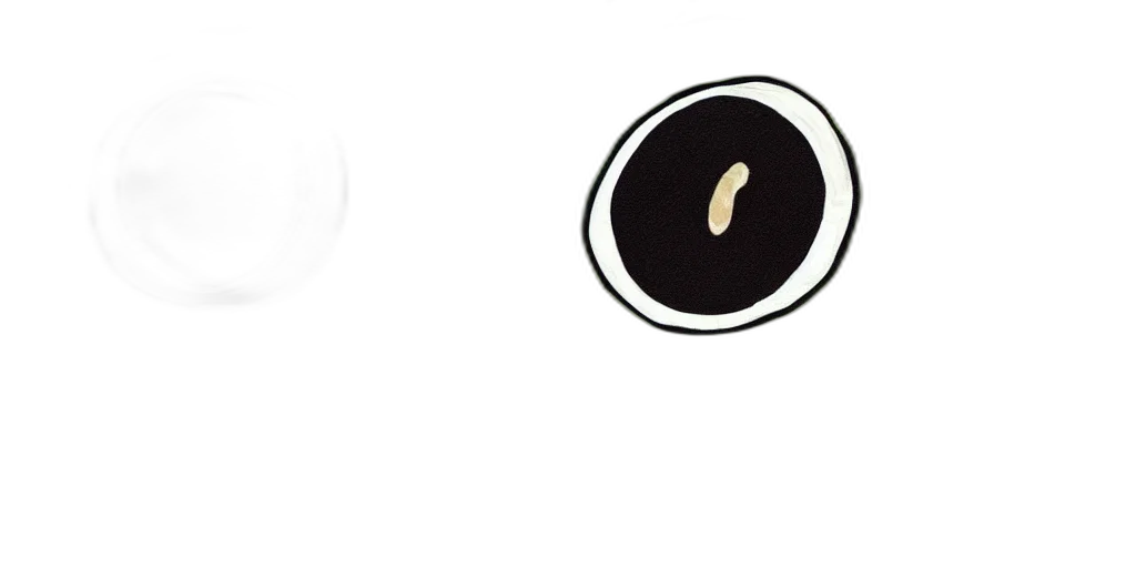 food, jewelry, face, staff transparent PNG cut-out