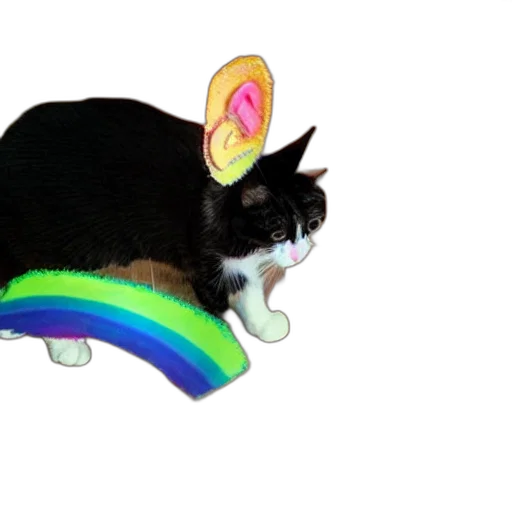 hat, animal, creature, staff transparent PNG cut-out