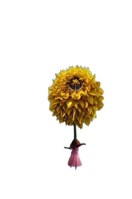 flower, crown, staff, jewelry transparent PNG cut-out