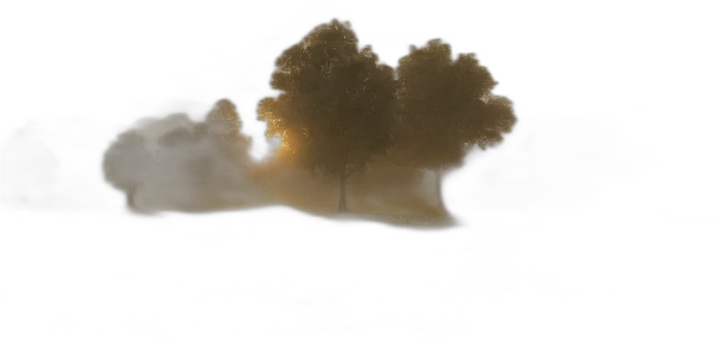 tree, car, mask, dragon transparent PNG cut-out