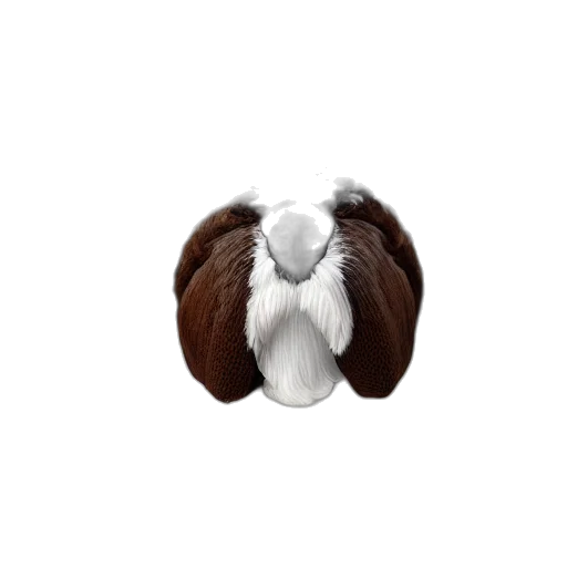 hair, animal, jewelry, jacket transparent PNG cut-out