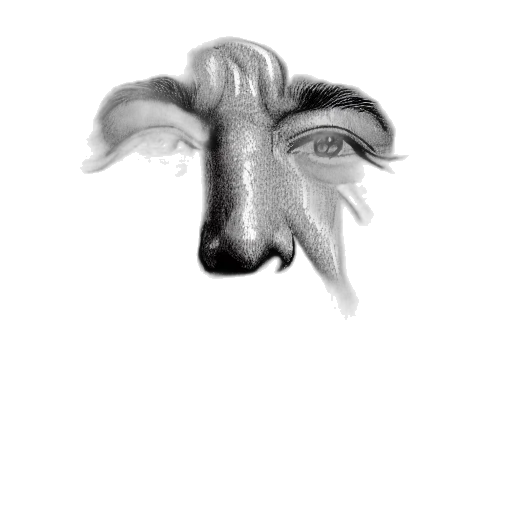 face, mask, creature, hair transparent PNG cut-out
