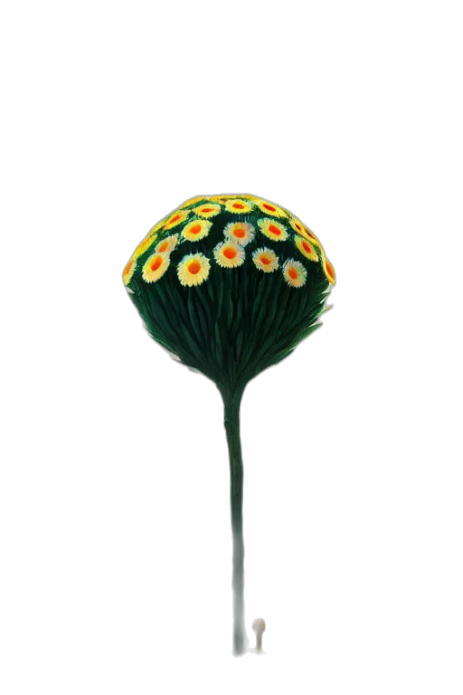 umbrella, flower, hat, crown transparent PNG cut-out