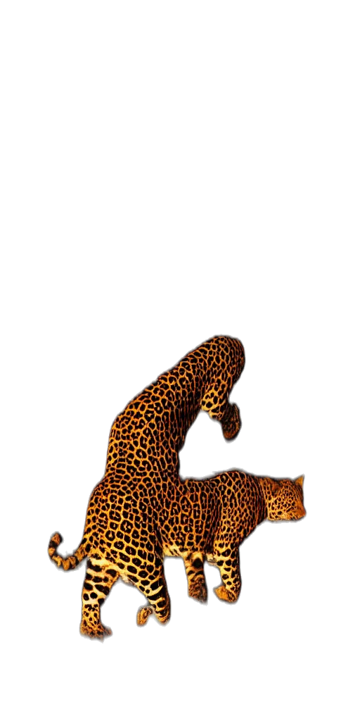 animal, creature, staff, shoes transparent PNG cut-out