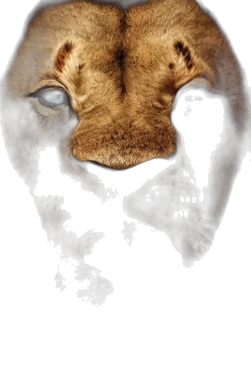 mask, face, animal, crown transparent PNG cut-out