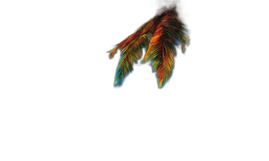 hair, dragon, creature, animal transparent PNG cut-out