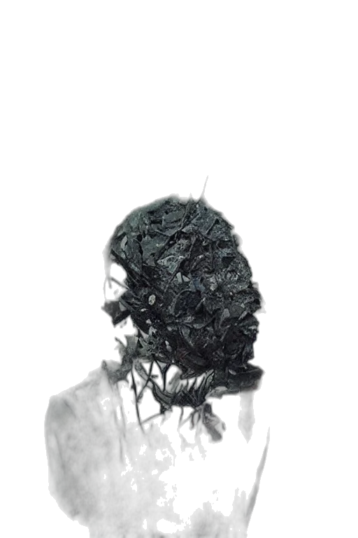 hair, mask, face, crown transparent PNG cut-out