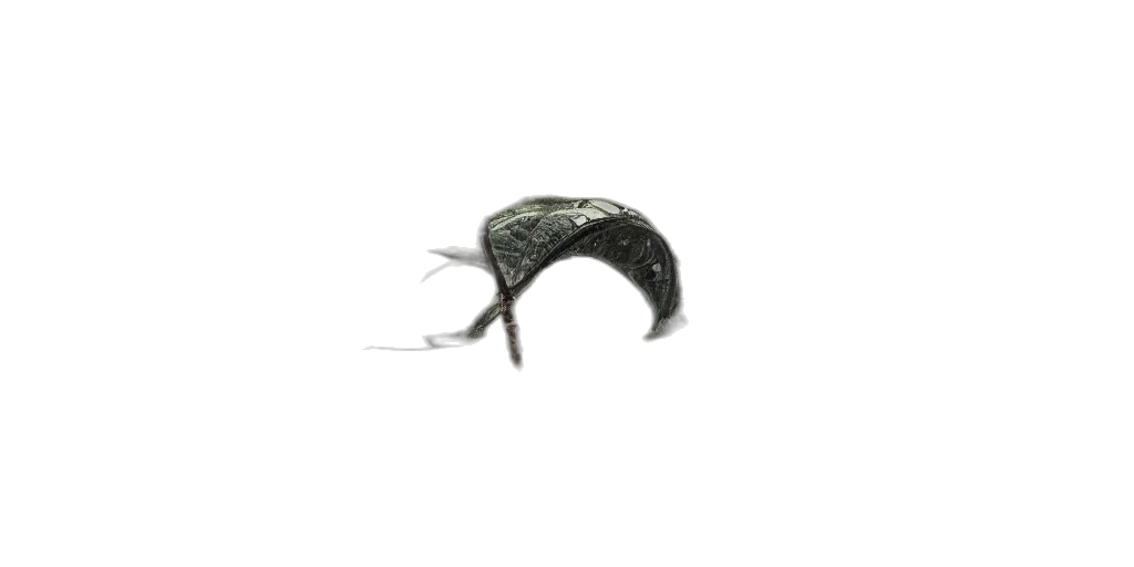 hat, weapon, mask, dragon transparent PNG cut-out