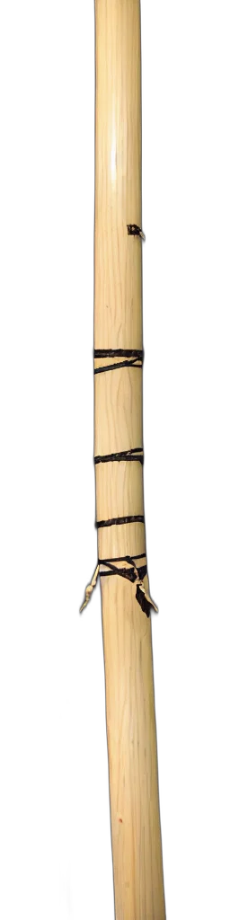 weapon, sword, staff, hair transparent PNG cut-out