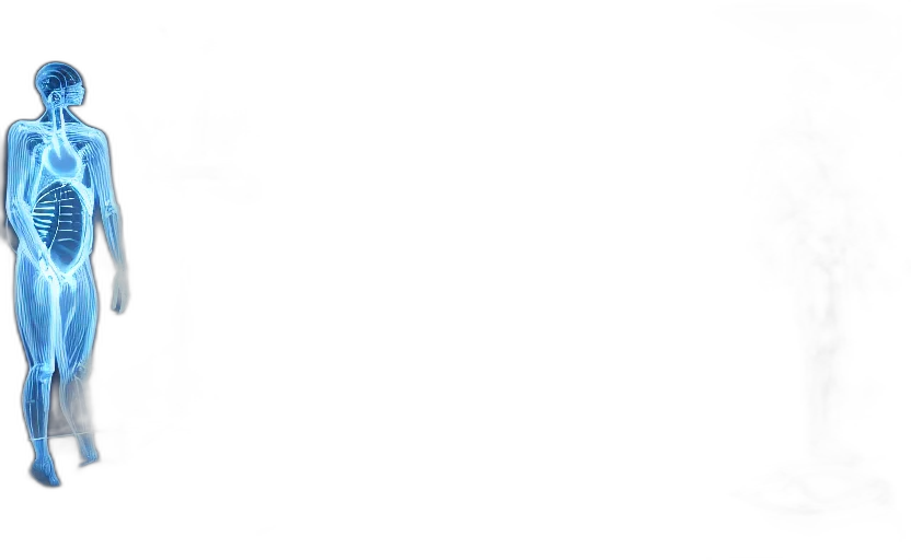human, performance, wireframe, body transparent PNG cut-out