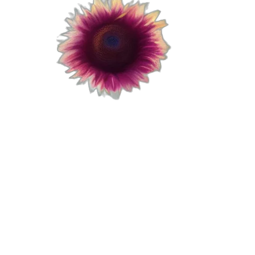 flower, crown, jewelry, staff transparent PNG cut-out