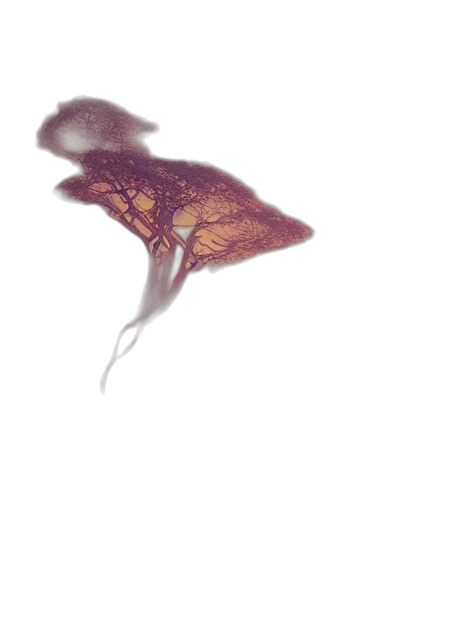 dragon, creature, umbrella, crown transparent PNG cut-out