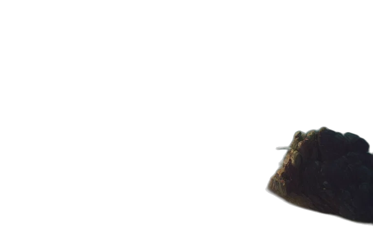crown, food, hat, staff transparent PNG cut-out