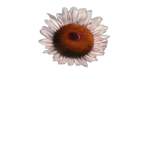 flower, crown, jewelry, staff transparent PNG cut-out