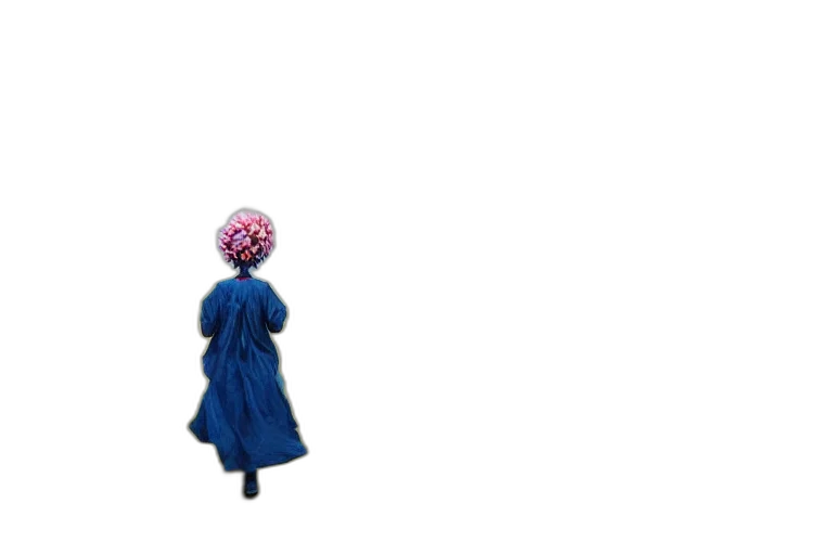 dress, umbrella, crown, hat transparent PNG cut-out