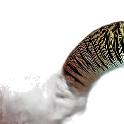 hair, hat, dragon, creature transparent PNG cut-out