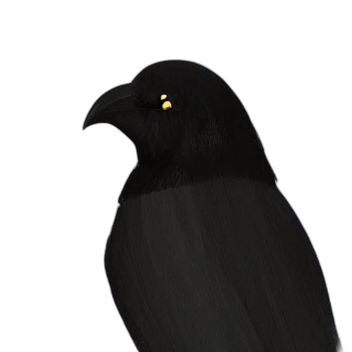 animal, hat, mask, dress transparent PNG cut-out