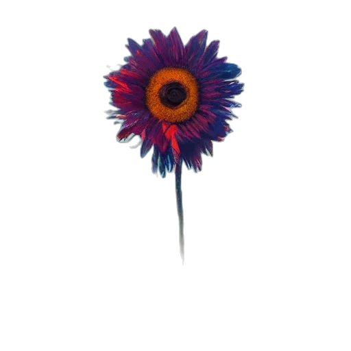 flower, staff, crown, umbrella transparent PNG cut-out