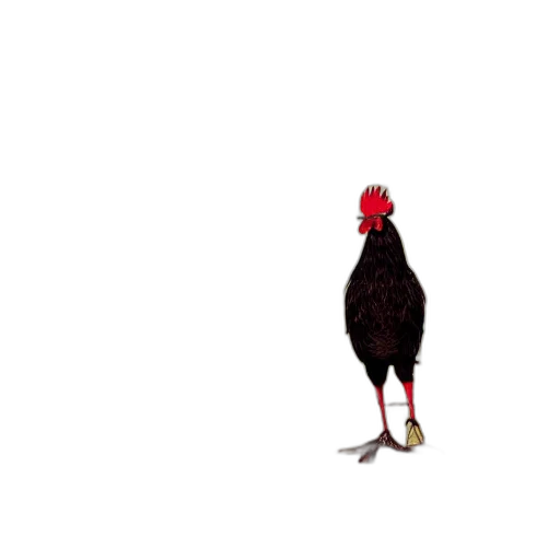 animal, creature, shoes, dress transparent PNG cut-out