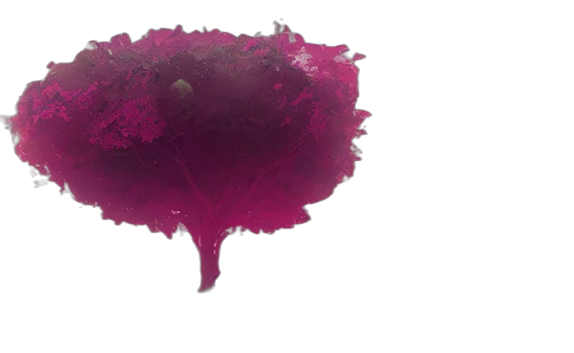 crown, flower, tree, hair transparent PNG cut-out