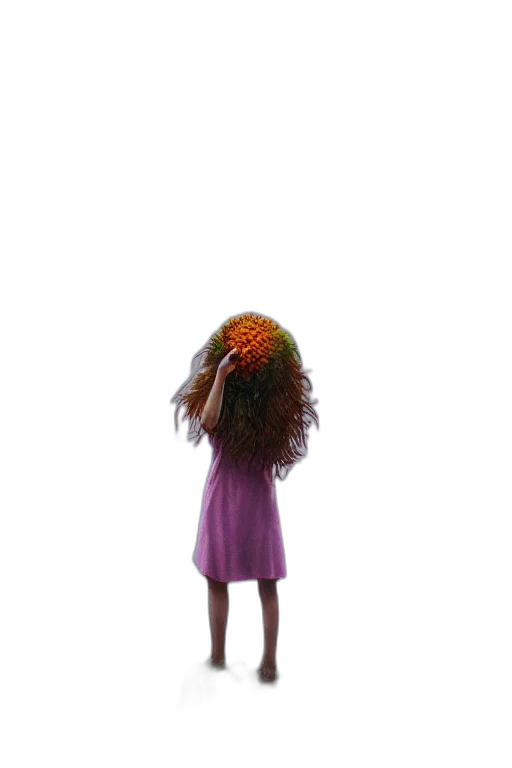 hair, dress, crown, flower transparent PNG cut-out
