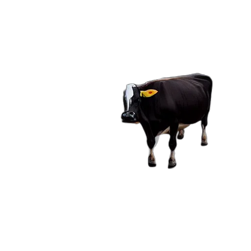animal, robot, food, hat transparent PNG cut-out