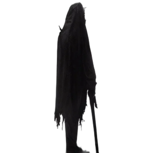 staff, sword, jacket, dress transparent PNG cut-out