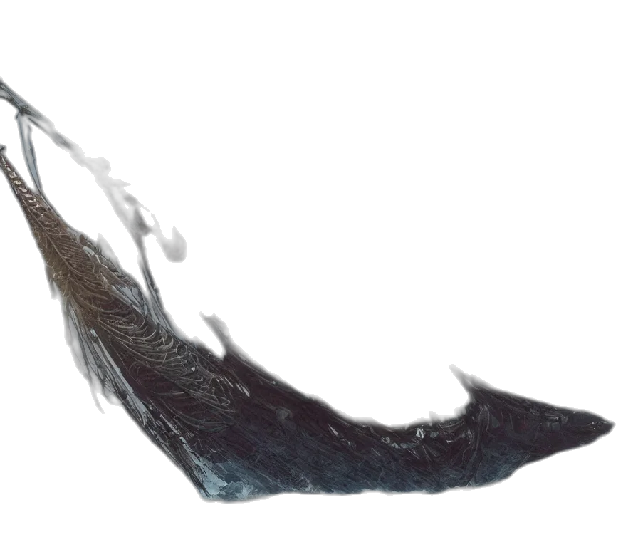 hair, dragon, staff, sword transparent PNG cut-out