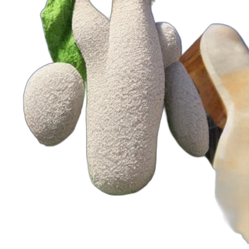 shoes, staff, food, hat transparent PNG cut-out