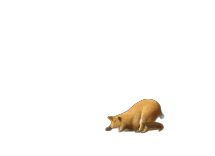 animal, creature, food, furniture transparent PNG cut-out