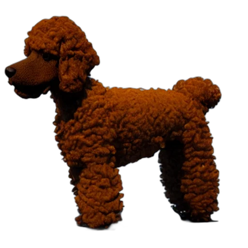 animal, staff, creature, food transparent PNG cut-out