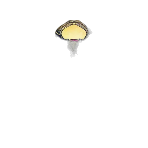 jewelry, crown, hat, staff transparent PNG cut-out
