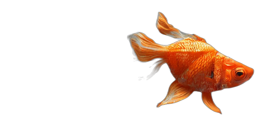animal, creature, food, staff transparent PNG cut-out