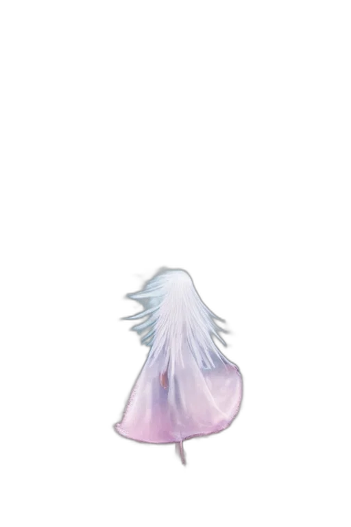 hair, creature, bottle, hat transparent PNG cut-out