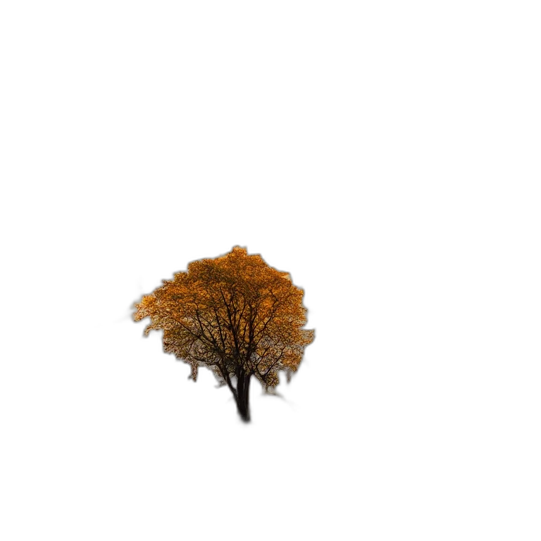 tree, crown, hat, hair transparent PNG cut-out