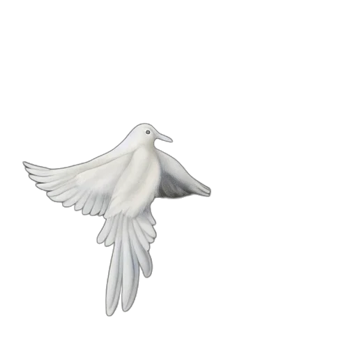 weapon, animal, jewelry, flower transparent PNG cut-out