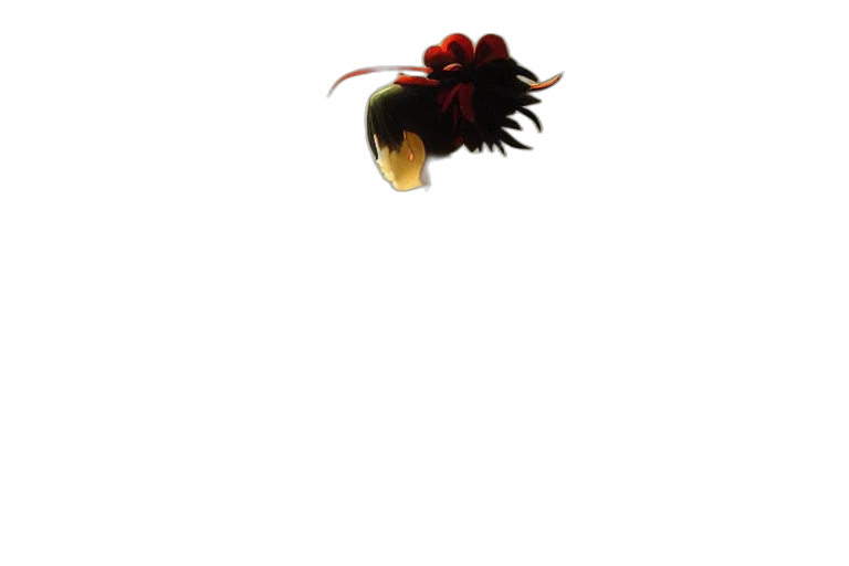 hair, flower, crown, hat transparent PNG cut-out